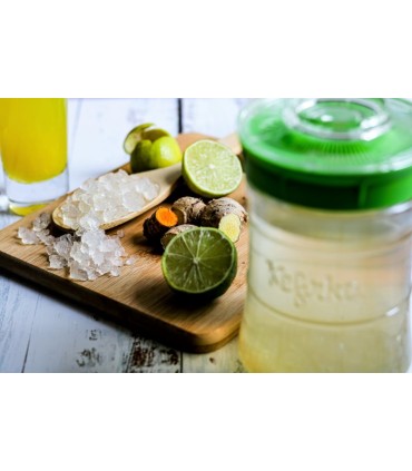 Kefirko starter waterkefir korrels - 5gr.