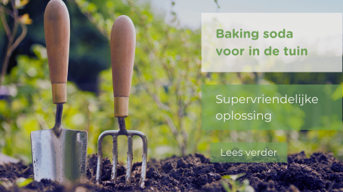 Baking soda in de tuin: zo help je je planten op een natuurlijke manier